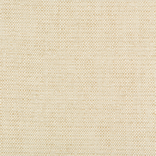 KRAVET CONTRACT - KRAVET CONTRACT- 35132-116 - Fabric by the Yard 35132-116