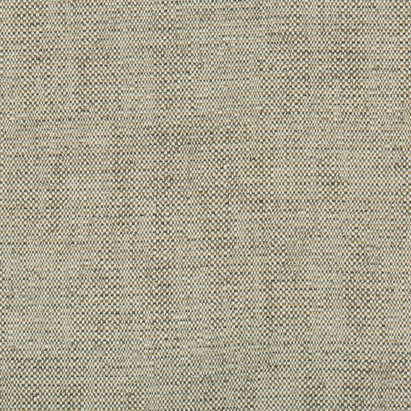 KRAVET DESIGN - KRAVET DESIGN- 35135-1611 - Fabric by the Yard 35135-1611