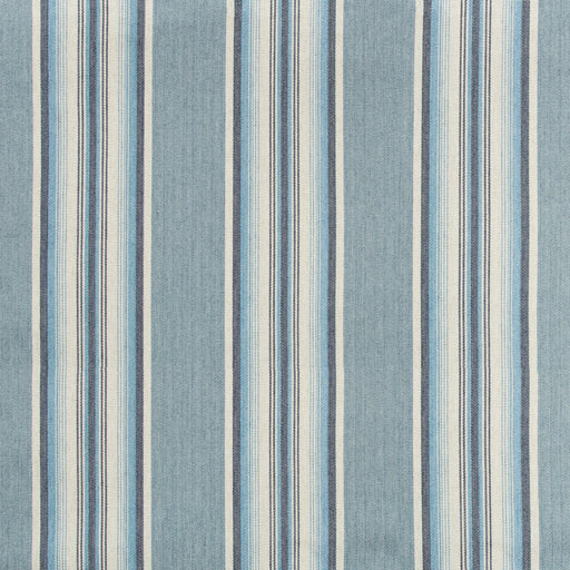 KRAVET DESIGN - 35169 - LODEVE TICKING - Fabric By the Yard