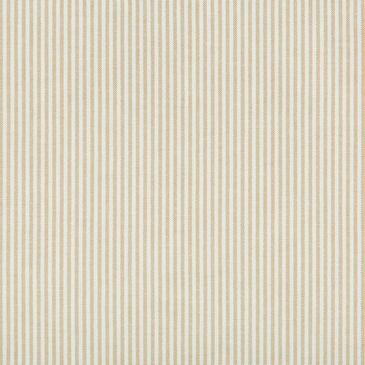 KRAVET BASICS - KRAVET BASICS- 35199-116 - Fabric by the Yard 35199-116