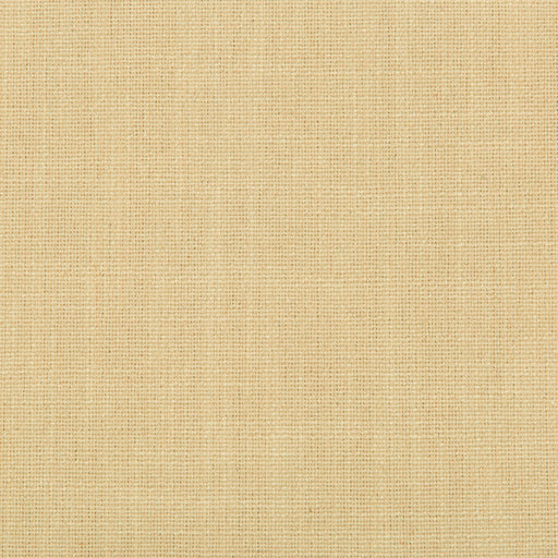 KRAVET SMART - KRAVET SMART- 35226-1114 - Fabric by the Yard 35226-1114