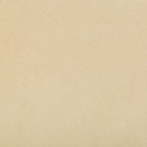 KRAVET DESIGN - KRAVET DESIGN- 35366-1116 - Fabric by the Yard 35366-1116