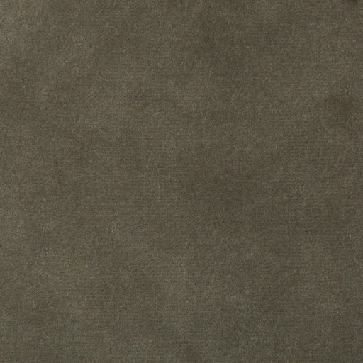 KRAVET DESIGN - KRAVET DESIGN- 35366-1121 - Fabric by the Yard 35366-1121