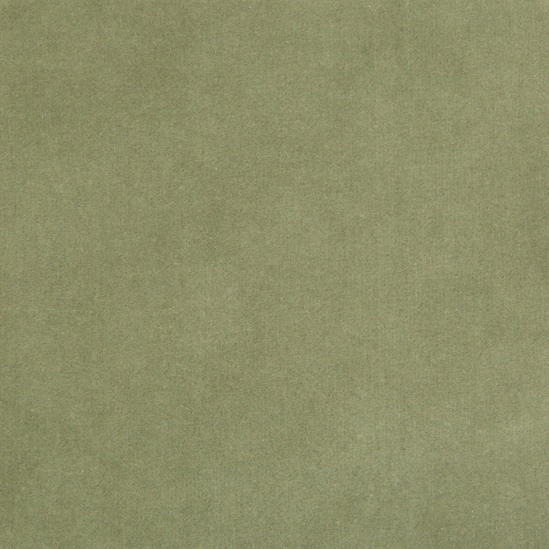 KRAVET DESIGN - KRAVET DESIGN- 35366-113 - Fabric by the Yard 35366-113