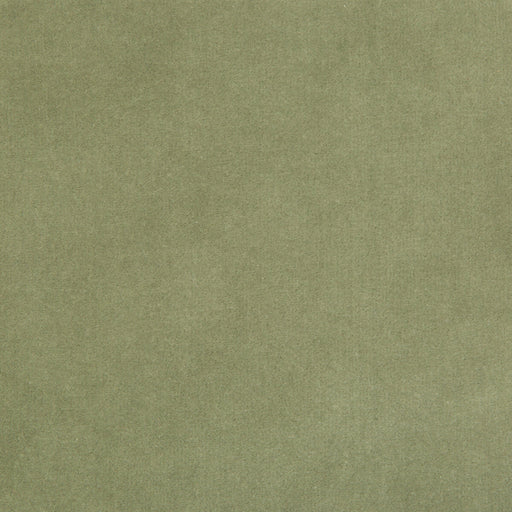 KRAVET DESIGN - KRAVET DESIGN- 35366-113 - Fabric by the Yard 35366-113