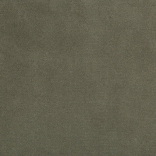 KRAVET DESIGN - KRAVET DESIGN- 35366-11 - Fabric by the Yard 35366-11
