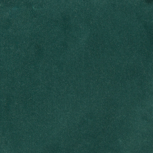 KRAVET DESIGN - KRAVET DESIGN- 35366-1535 - Fabric by the Yard 35366-1535