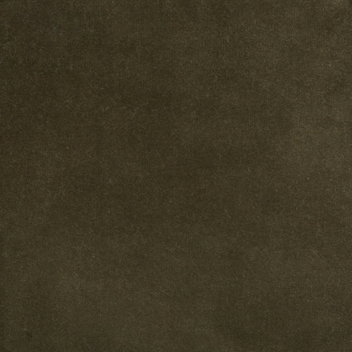 KRAVET DESIGN - KRAVET DESIGN 35366-2111-  - Fabric by the Yard