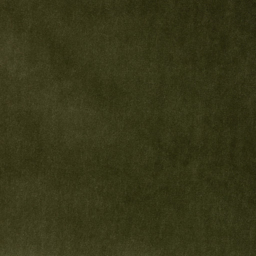 KRAVET DESIGN - KRAVET DESIGN- 35366-330 - Fabric by the Yard 35366-330