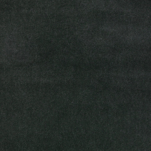 KRAVET DESIGN - KRAVET DESIGN- 35366-333 - Fabric by the Yard 35366-333
