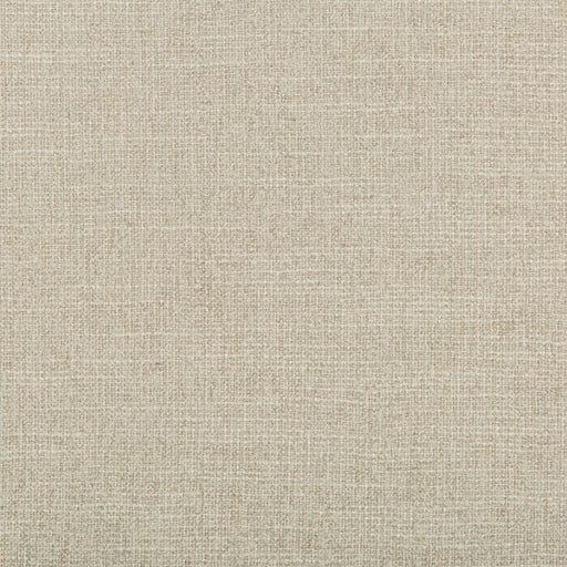 KRAVET DESIGN - ADAPTABLE- QUARTZ - Fabric by the Yard QUARTZ