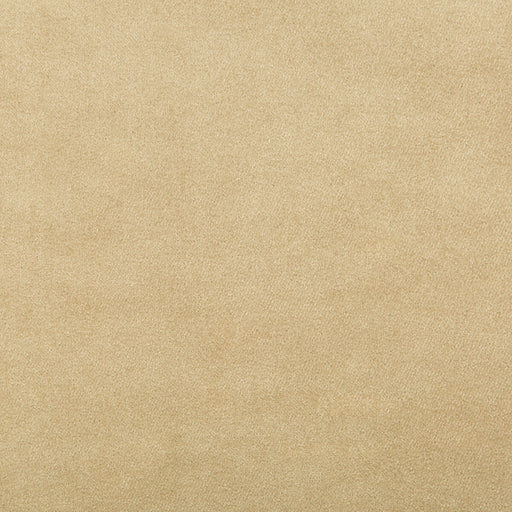 KRAVET CONTRACT - MADISON VELVET- SANDALWOOD - Fabric by the Yard SANDALWOOD
