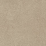 KRAVET CONTRACT - MADISON VELVET- PORCINI - Fabric by the Yard