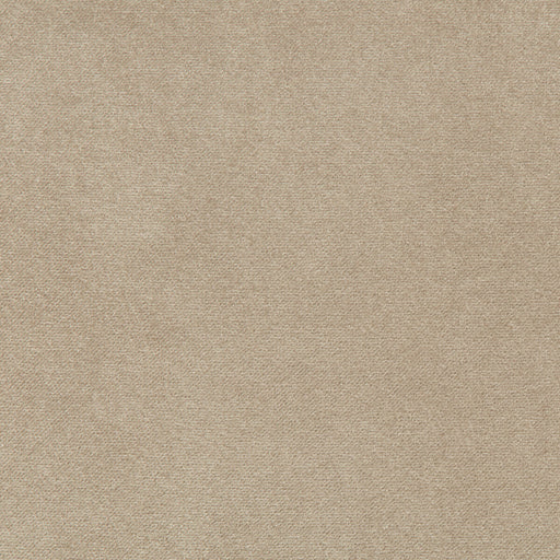 KRAVET CONTRACT - MADISON VELVET- PORCINI - Fabric by the Yard PORCINI