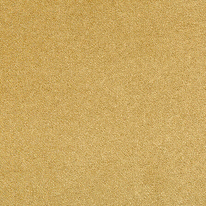 KRAVET CONTRACT - MADISON VELVET- MARIGOLD - Fabric by the Yard MARIGOLD