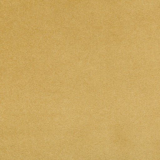 KRAVET CONTRACT - MADISON VELVET- MARIGOLD - Fabric by the Yard MARIGOLD