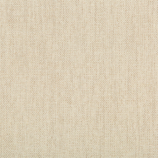 KRAVET CONTRACT - KRAVET CONTRACT- 35407-111 - Fabric by the Yard 35407-111