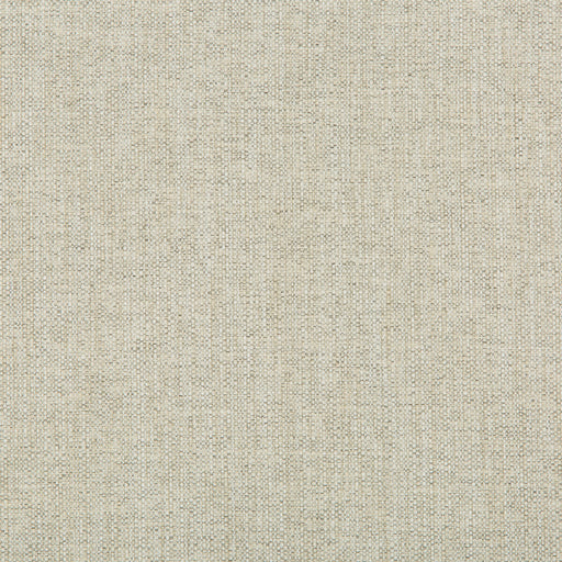 KRAVET CONTRACT - KRAVET CONTRACT- 35443-111 - Fabric by the Yard 35443-111