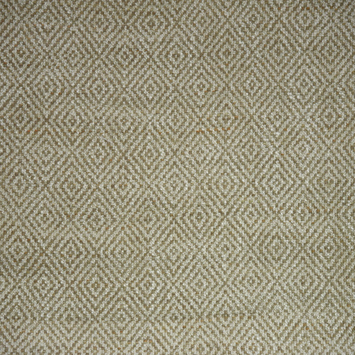 KRAVET COUTURE - IZU- MELON - Fabric by the Yard MELON