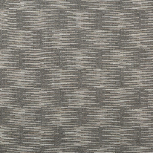 KRAVET COUTURE - LINE DRAWING- GRAPHITE - Fabric by the Yard GRAPHITE