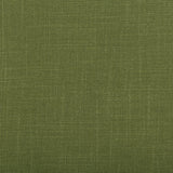 KRAVET DESIGN - AURA- VINE - Fabric by the Yard