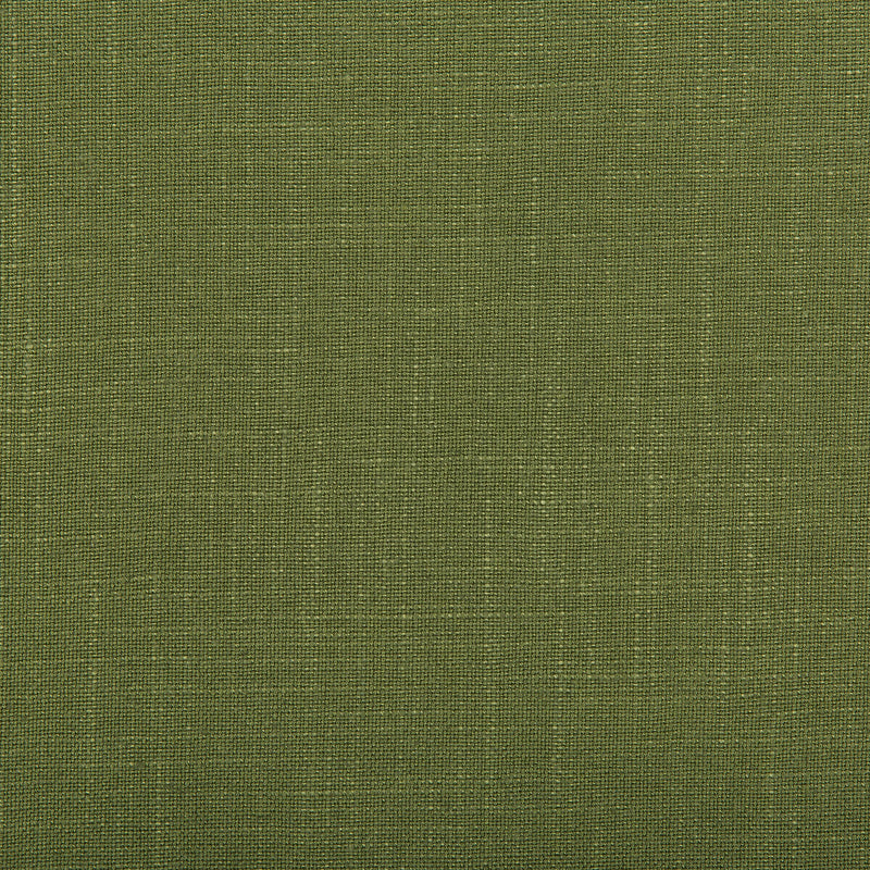 KRAVET DESIGN - AURA- VINE - Fabric by the Yard VINE