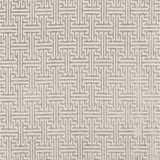 KRAVET COUTURE - GUEST HOUSE- PLATINUM - Fabric by the Yard