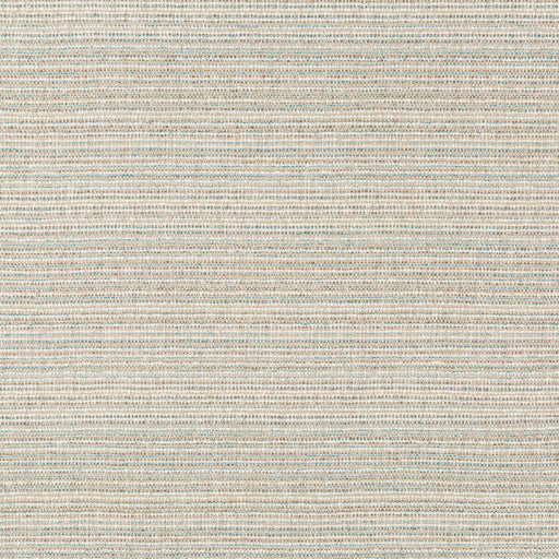 KRAVET COUTURE - HALAU- DUNE - Fabric by the Yard DUNE