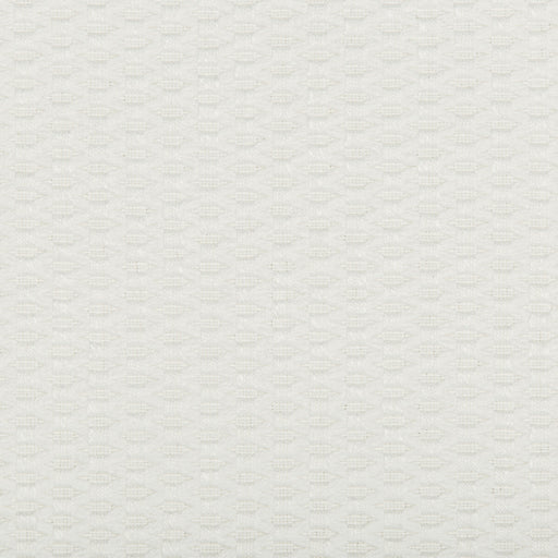 KRAVET DESIGN - KRAVET DESIGN- 35583-101 - Fabric by the Yard 35583-101
