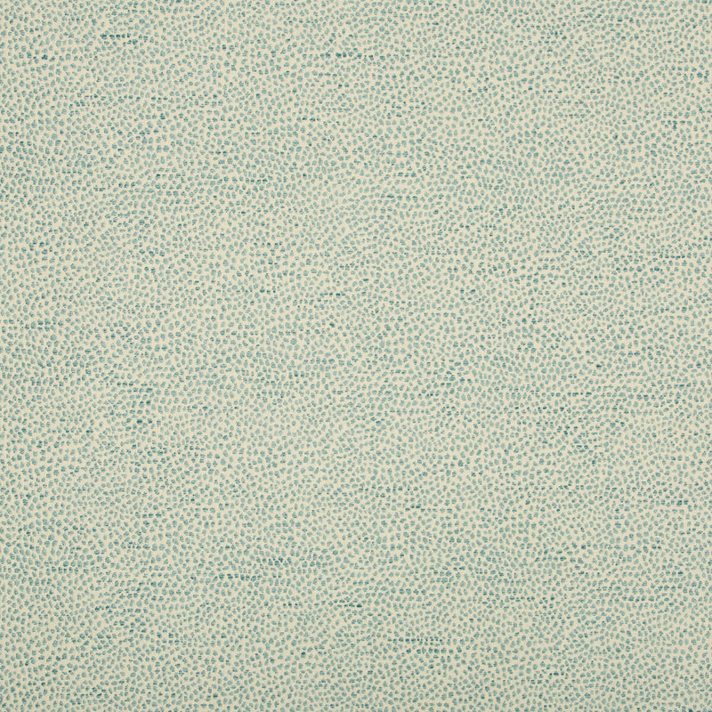 KRAVET DESIGN - KRAVET DESIGN- 35595-13 - Fabric by the Yard 35595-13