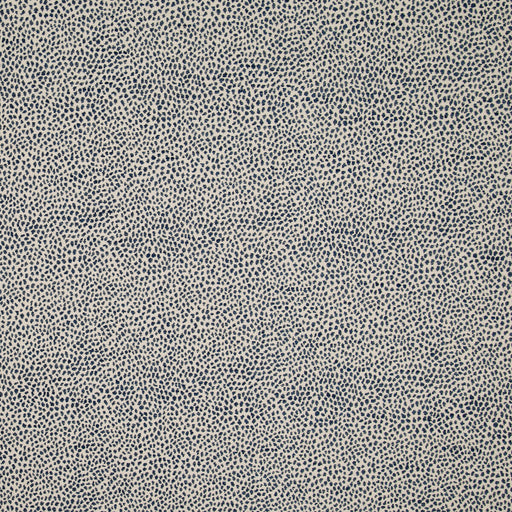 KRAVET DESIGN - KRAVET DESIGN- 35595-50 - Fabric by the Yard 35595-50