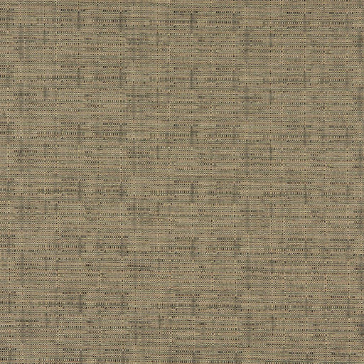 Charlotte - 3562 - Rosemary - Fabric by the Yard Rosemary