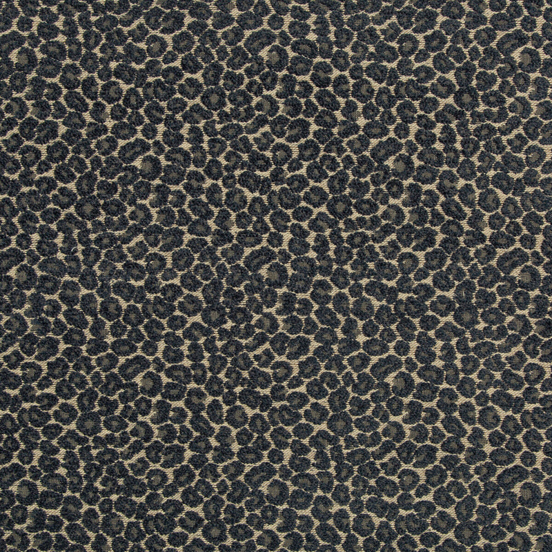 KRAVET DESIGN - KRAVET DESIGN- 35669-505 - Fabric by the Yard 35669-505