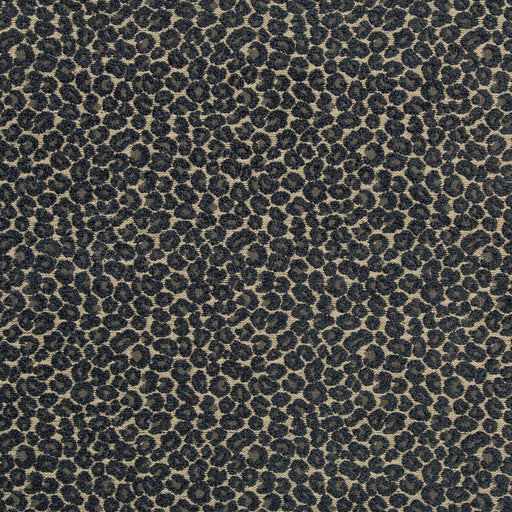 KRAVET DESIGN - KRAVET DESIGN- 35669-505 - Fabric by the Yard 35669-505