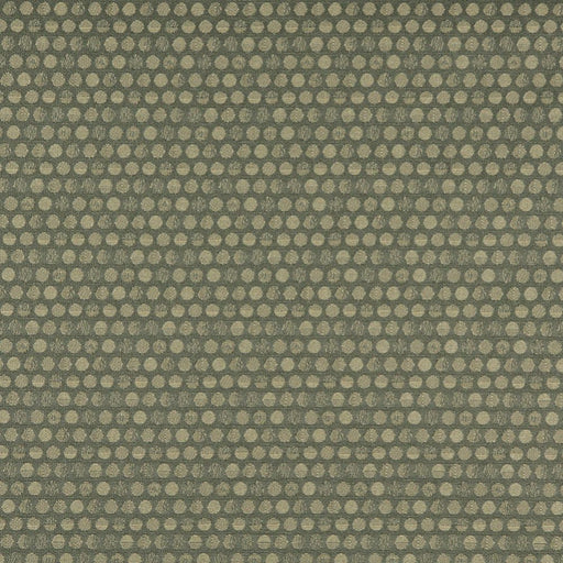 Charlotte - 3573 - Ivy - Fabric by the Yard Ivy