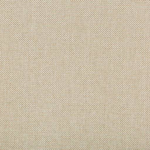 KRAVET CONTRACT - WILLIAMS- COCONUT - Fabric by the Yard COCONUT