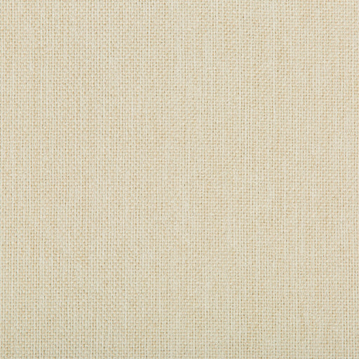 KRAVET CONTRACT - 35744 - WILLIAMS - Fabric By the Yard