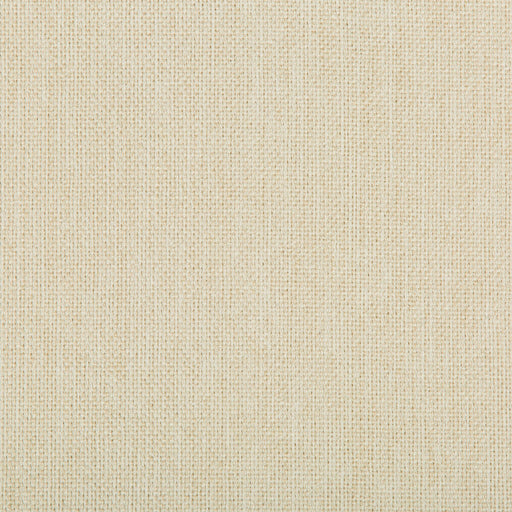 KRAVET CONTRACT - WILLIAMS- SEA SALT - Fabric by the Yard SEA SALT