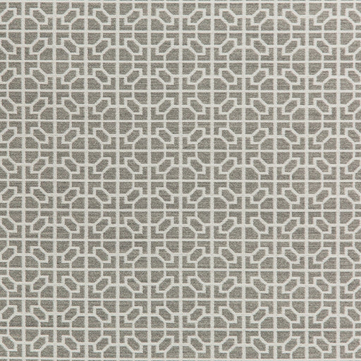 KRAVET DESIGN - 35820 - RAIA - Fabric By the Yard