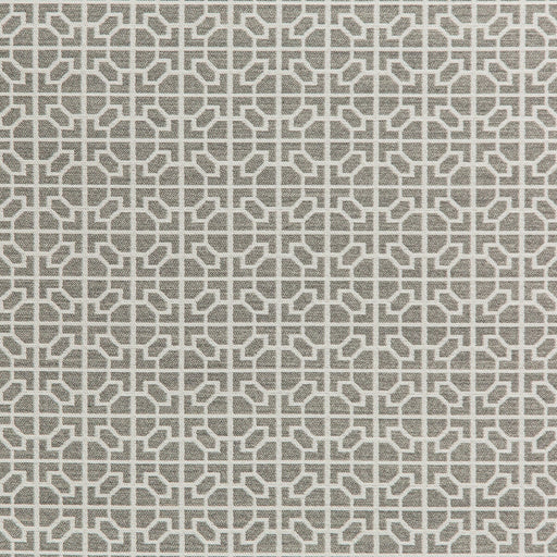 KRAVET DESIGN - RAIA- STONE - Fabric by the Yard STONE