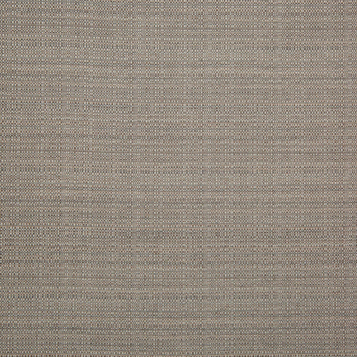 KRAVET DESIGN - ARROYO- STONE - Fabric by the Yard STONE
