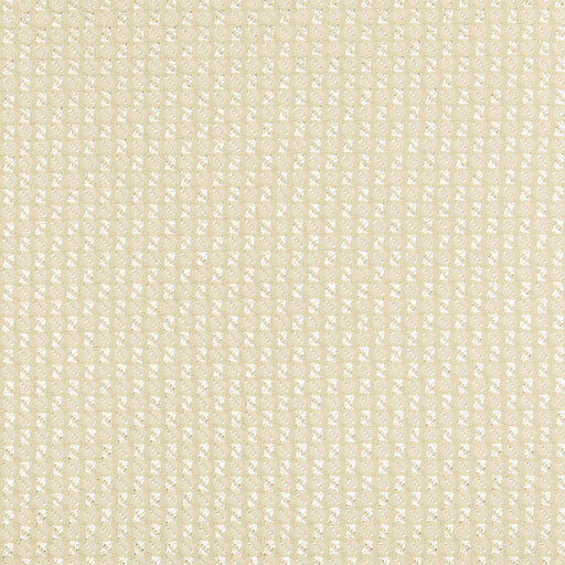 KRAVET COUTURE - FORTESA- IVORY - Fabric by the Yard IVORY
