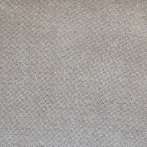 KRAVET COUTURE - SIMBEL- CAMEO - Fabric by the Yard CAMEO