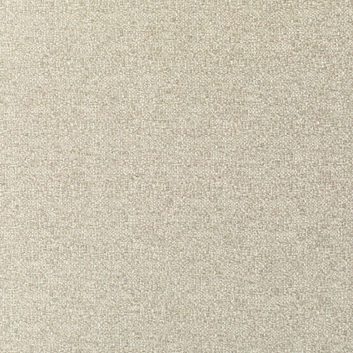 KRAVET COUTURE - TRUTH- MUSLIN - Fabric by the Yard MUSLIN