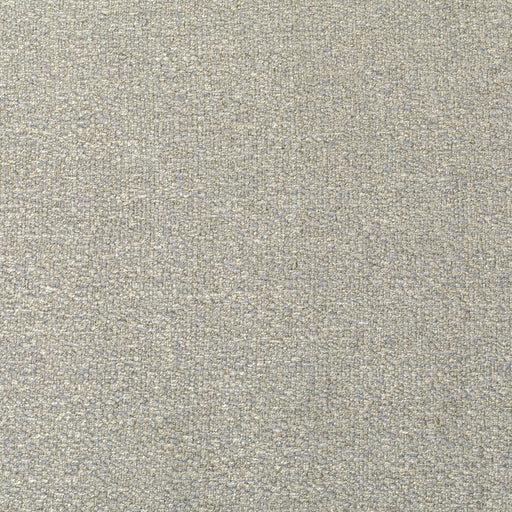 KRAVET COUTURE - TRUTH- PUMICE - Fabric by the Yard PUMICE