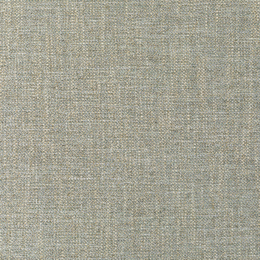 KRAVET COUTURE - PASARO- NATURAL - Fabric by the Yard NATURAL