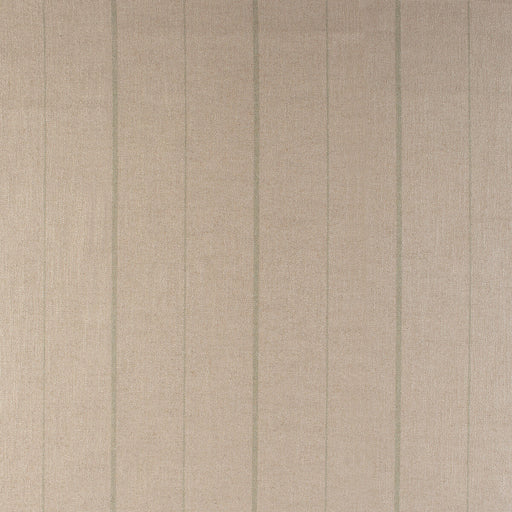 KRAVET DESIGN - CHIPPER- CACTUS - Fabric by the Yard CACTUS