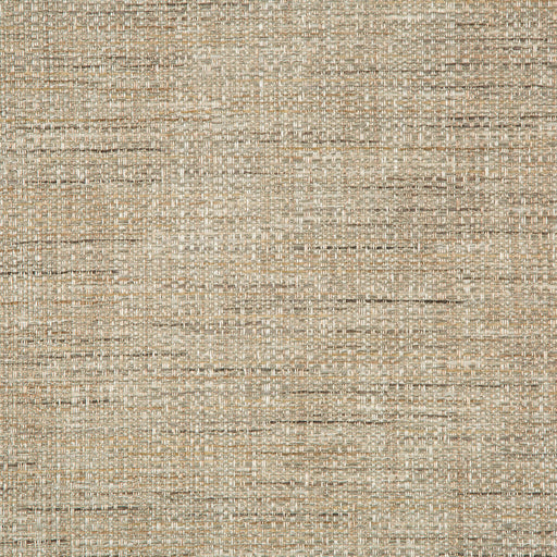 KRAVET SMART - KRAVET SMART- 35929-116 - Fabric by the Yard 35929-116