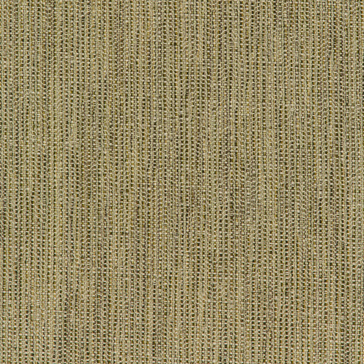 KRAVET SMART - KRAVET SMART- 35965-316 - Fabric by the Yard 35965-316