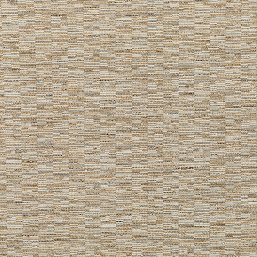 KRAVET COUTURE - 36050 - NONI TEXTURE - Fabric By the Yard